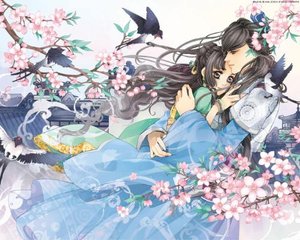 草莓视频污污污污污